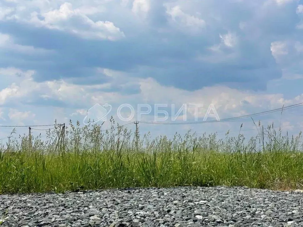 Участок в Тюменская область, Тюменский район, д. Падерина  (8.0 сот.) - Фото 2