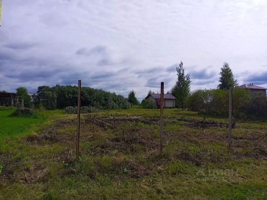 Участок в Новосибирская область, Коченевский район, СН Озерное СНТ ул. ... - Фото 1