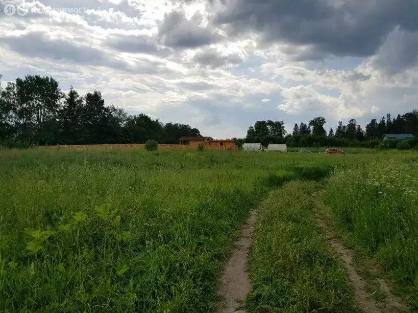 Участок в Волосовский район, Большеврудское сельское поселение, ... - Фото 0