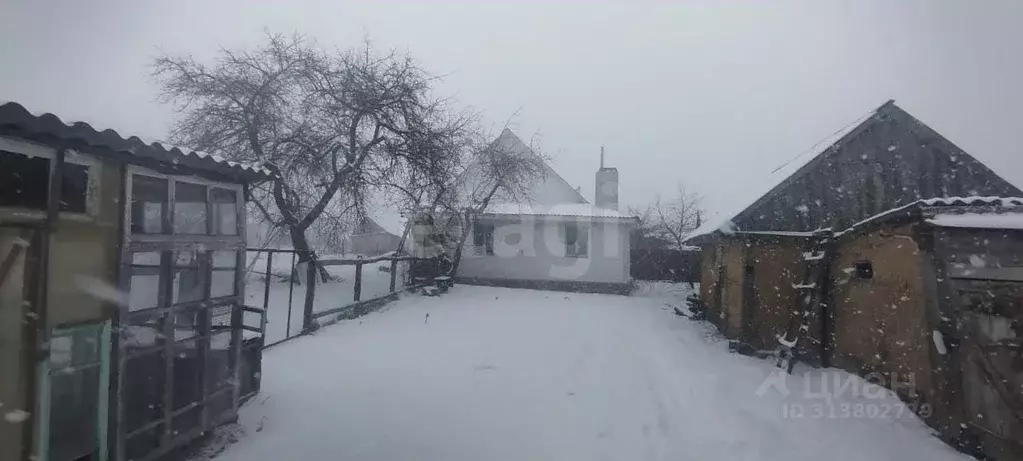 Дом в Брянская область, Брасовский район, Локоть рп ул. Ткаченко (70 ... - Фото 1