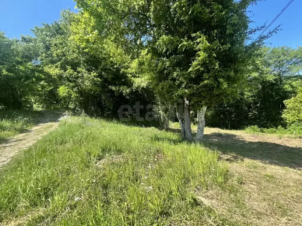 Участок в Краснодарский край, Геленджик городской округ, с. ... - Фото 2