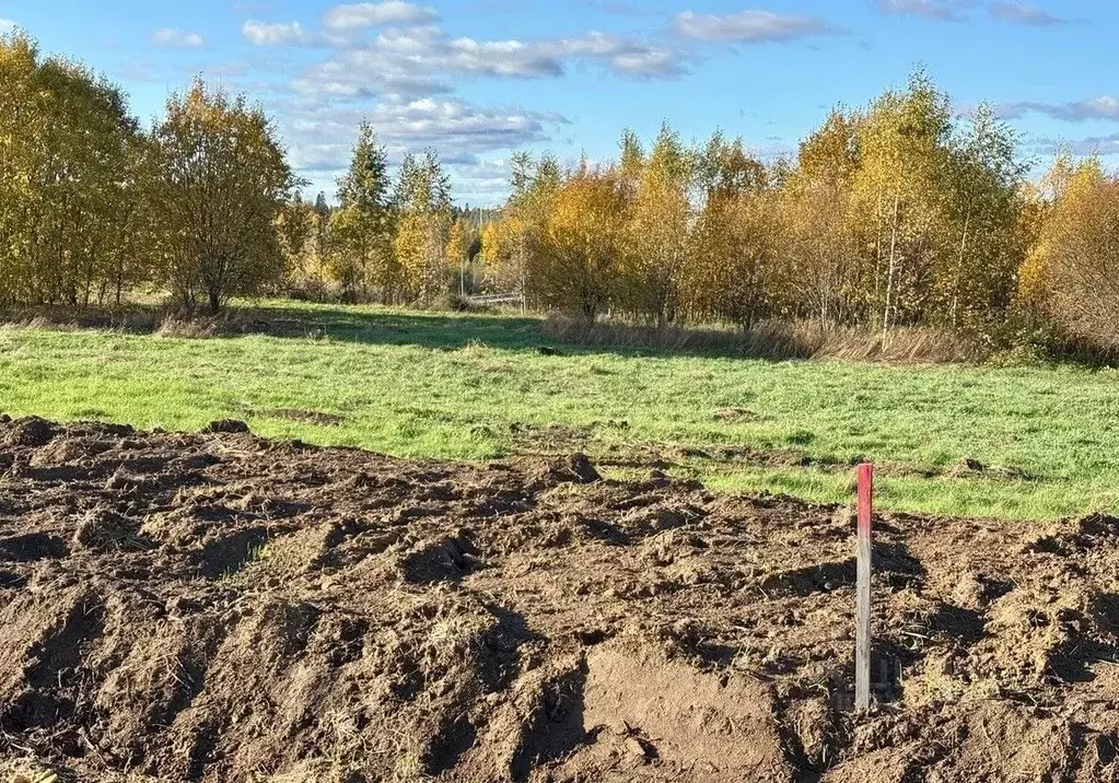 Участок в Ленинградская область, Всеволожский район, Агалатовское ... - Фото 1