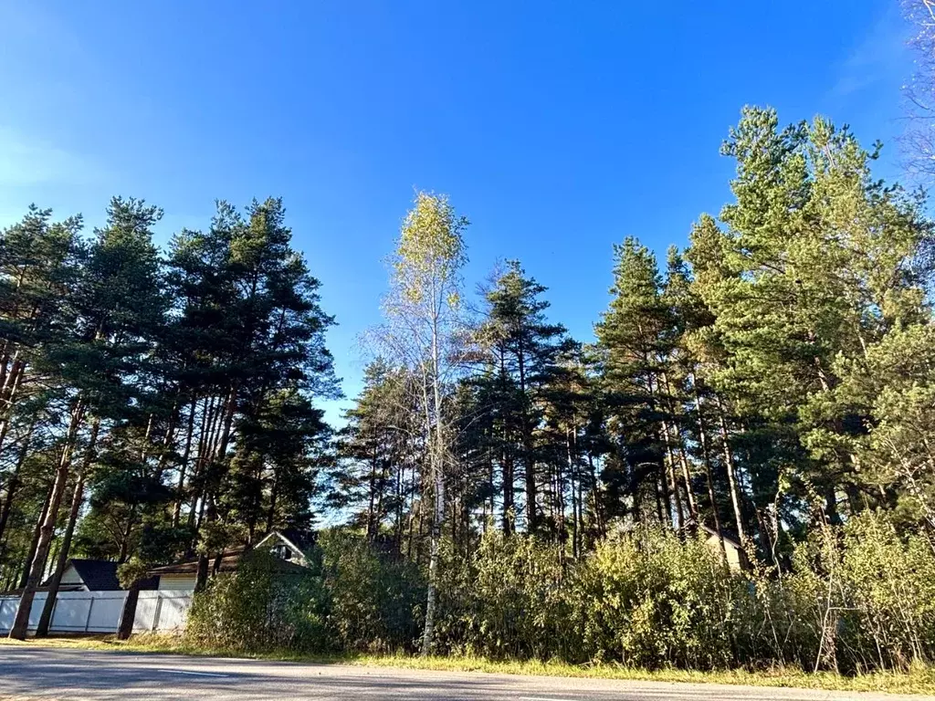 Участок в Московская область, Мытищи городской округ, пос. ... - Фото 2