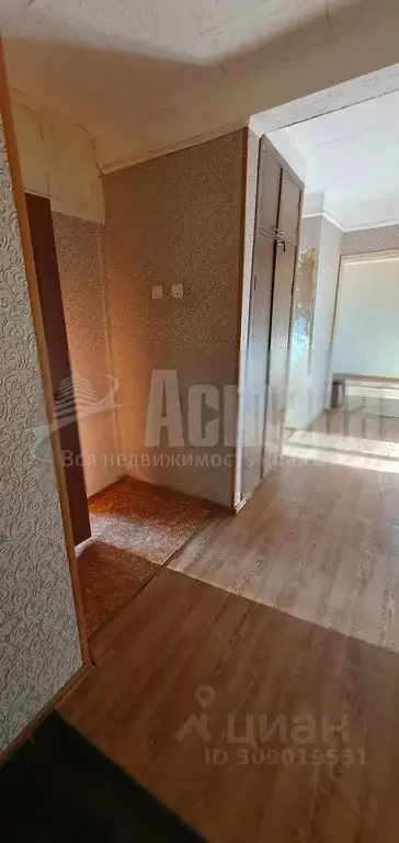 3-к кв. Забайкальский край, Чита Верхоленская ул., 22 (69.0 м) - Фото 1