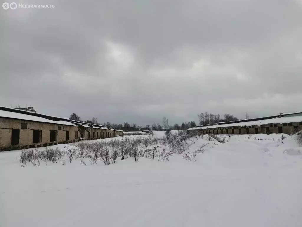 Участок в Кострома, Юбилейная улица, 24 (110 м) - Фото 2