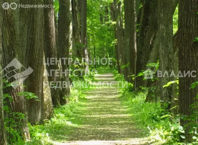 Участок в деревня Ларино, 1 (8 м) - Фото 0