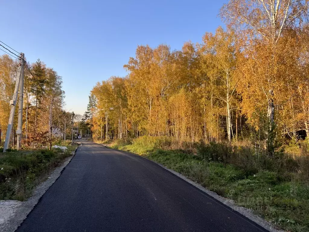 Участок в Новосибирская область, Новосибирский район, Барышевский ... - Фото 1