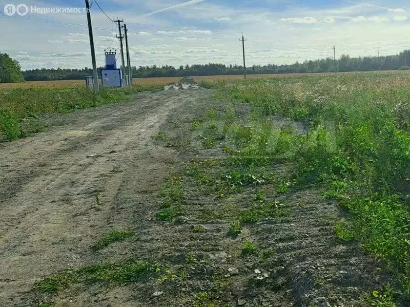 Участок в Тюменский район, Горьковское муниципальное образование (8 м) - Фото 0