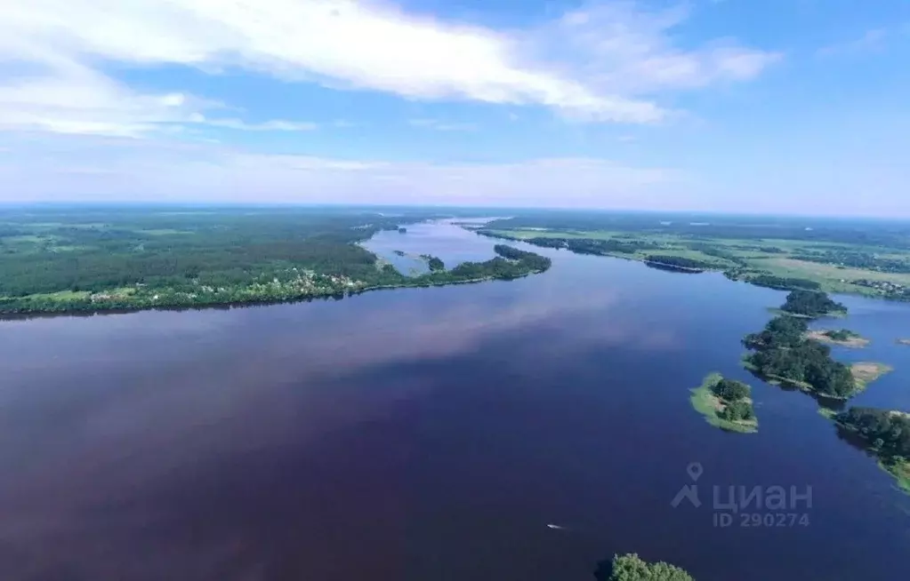 Участок в Тверская область, Кашинский городской округ, д. Перетрясово  ... - Фото 0