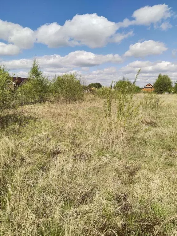 Участок в Московская область, Орехово-Зуевский городской округ, д. ... - Фото 0