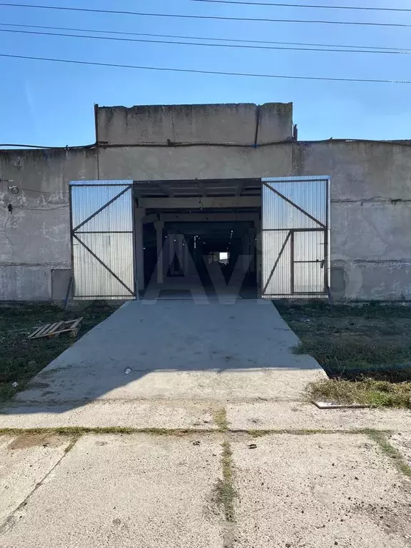 Аренда энем. Аренда энем