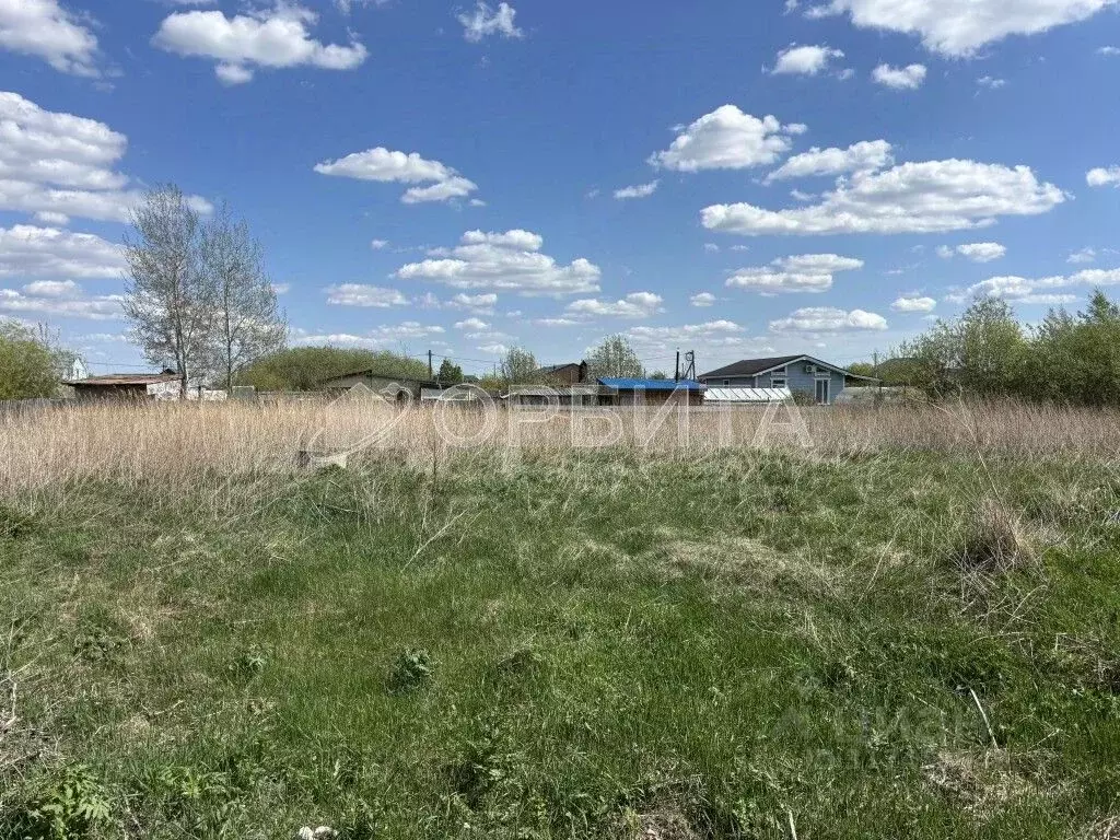 Участок в Тюменская область, Тюмень Рябинка-2 садовое товарищество,  ... - Фото 0