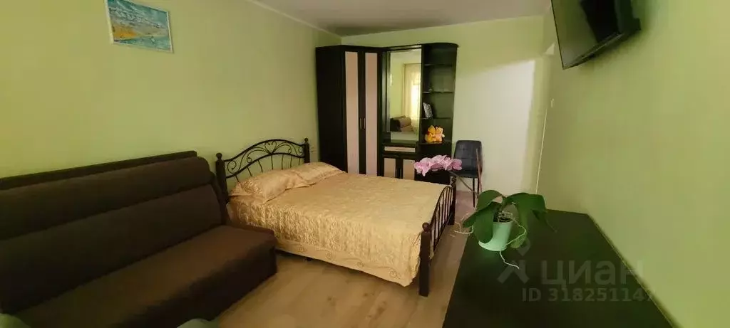 1-к кв. Краснодарский край, Сочи ул. Молокова, 22 (32.0 м) - Фото 1