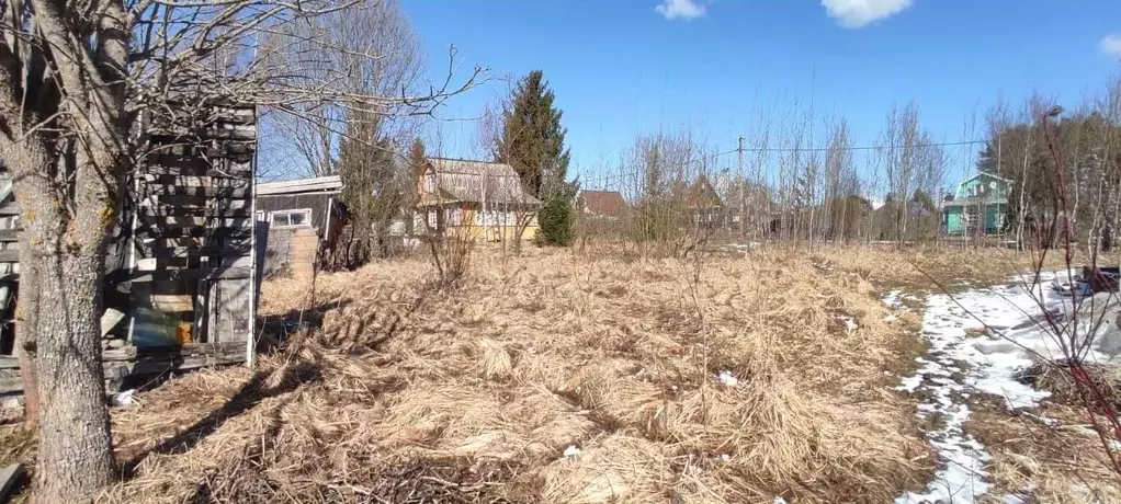 Участок в Ленинградская область, Тосненский район, Трубникоборское ... - Фото 0