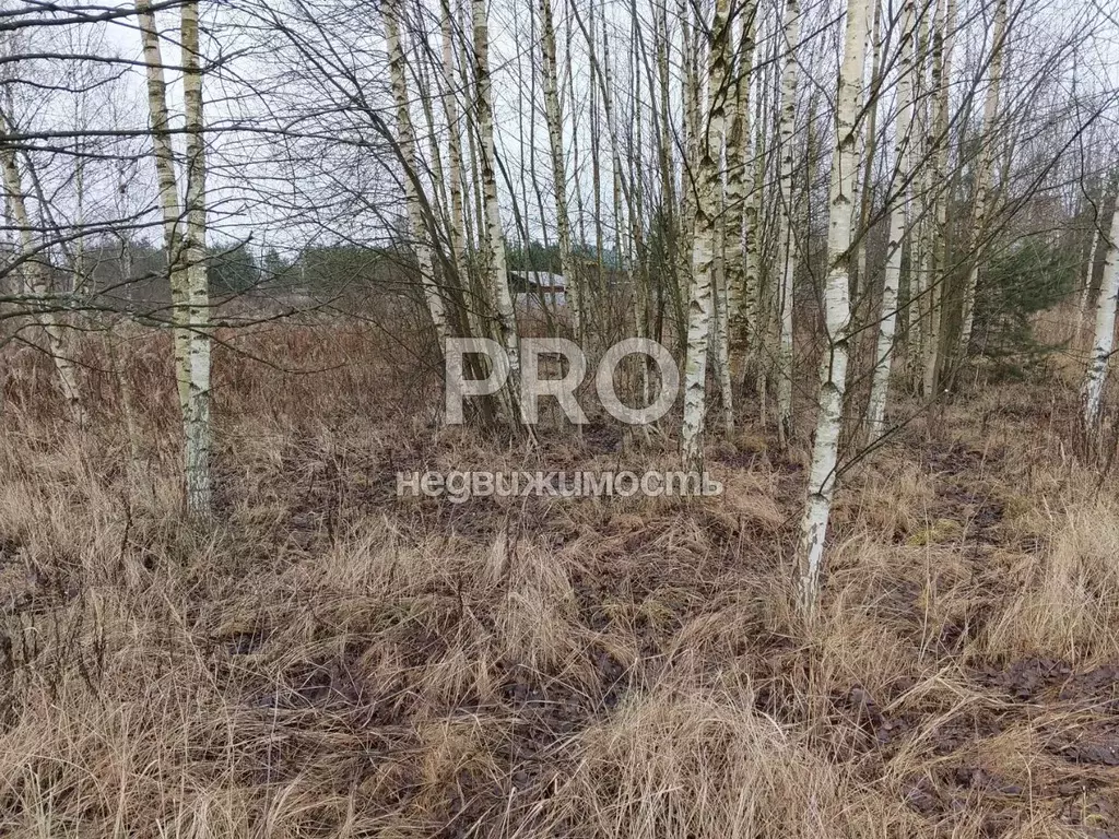 Участок в Ярославская область, Ярославский муниципальный округ, д. ... - Фото 2