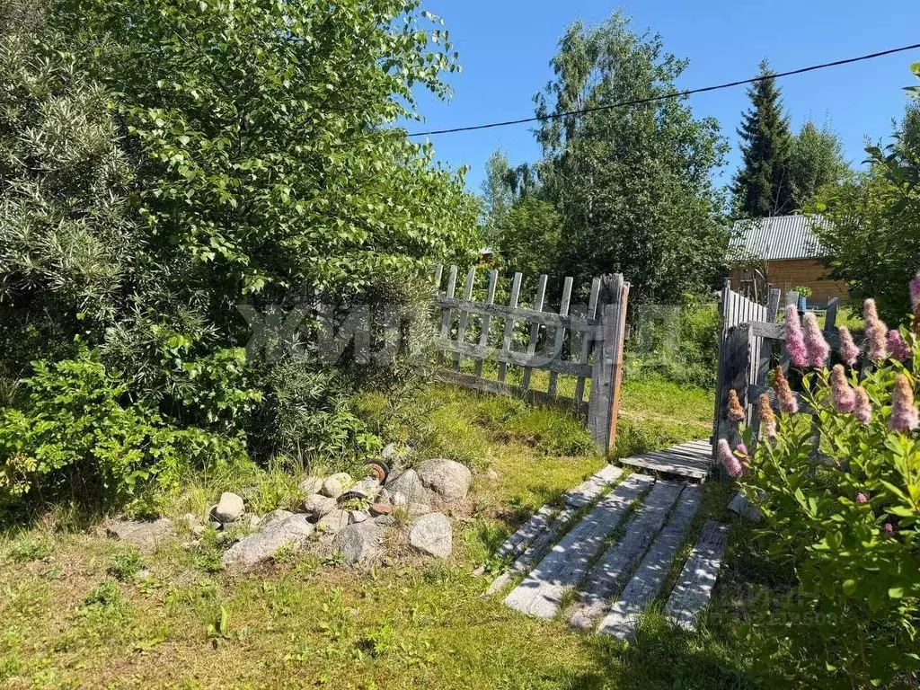 Дом в Архангельская область, Архангельск  (36 м) - Фото 1