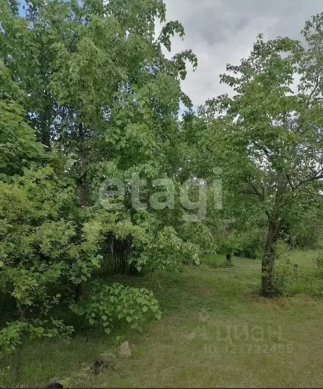 Участок в Амурская область, Благовещенский район, Медик СТ  (10.0 ... - Фото 1