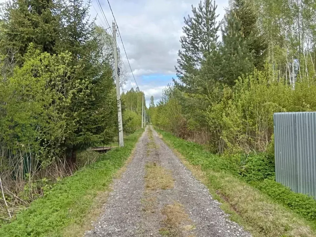 Участок в Московская область, Сергиево-Посадский городской округ, ... - Фото 1