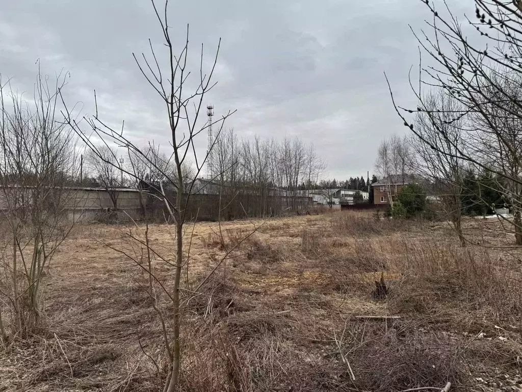 Участок в Московская область, Богородский городской округ, д. Молзино  ... - Фото 0