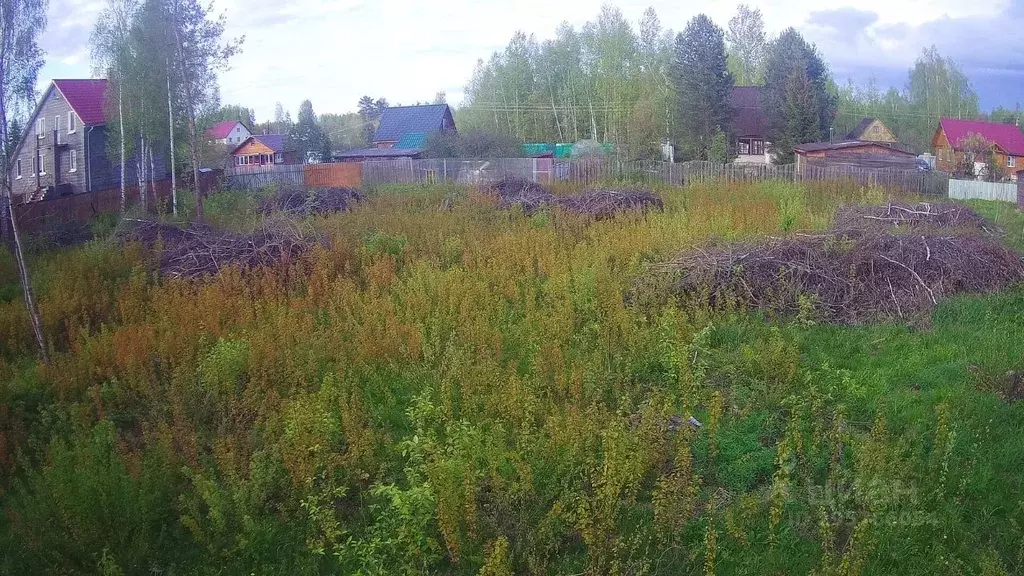 Участок в Тверская область, Конаковский муниципальный округ, д. ... - Фото 1