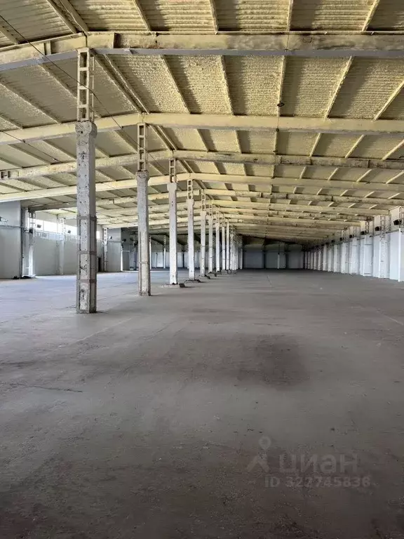 Склад в Новосибирская область, Новосибирский район, Криводановский ... - Фото 2