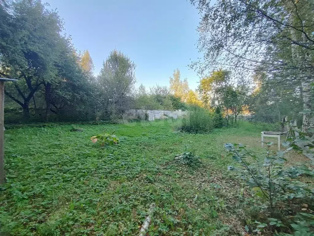 Участок в Смоленская область, Смоленский муниципальный округ, Родник ... - Фото 2