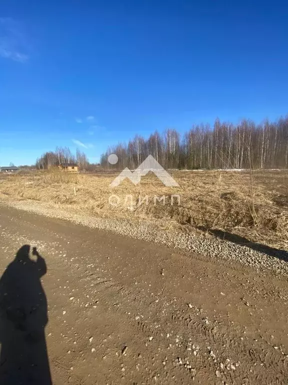 Участок в Вологодская область, пос. Сосновка ул. Вологодская (14.0 ... - Фото 1