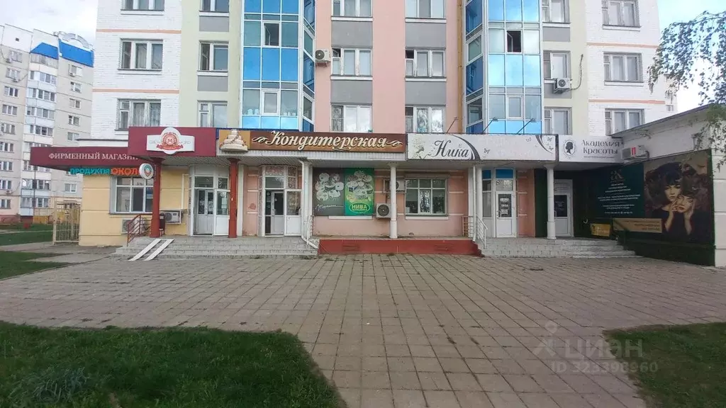 Торговая площадь в Орловская область, Орел Наугорское ш., 88 (50 м) - Фото 2