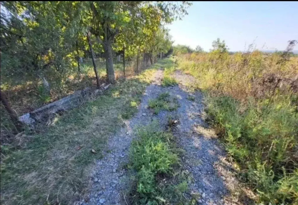 Участок в Ростовская область, Таганрог Радуга садовое товарищество, ... - Фото 0