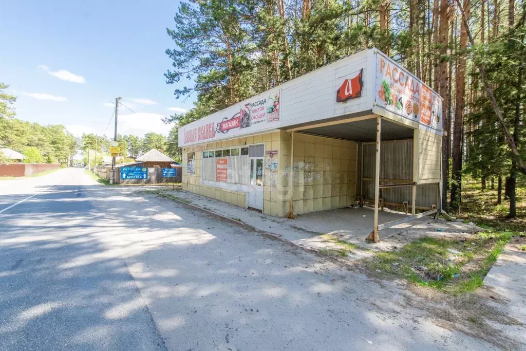 Торговая площадь в Томская область, Томский район, с. Курлек (50.1 м) - Фото 1
