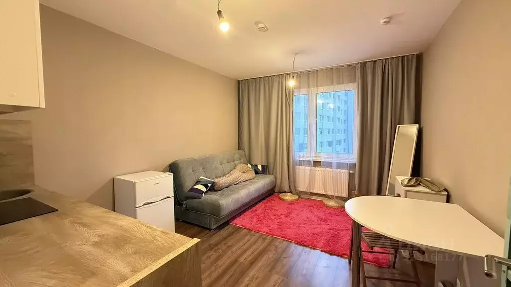 Студия Санкт-Петербург дор. Муринская, 31к2 (20.0 м) - Фото 1