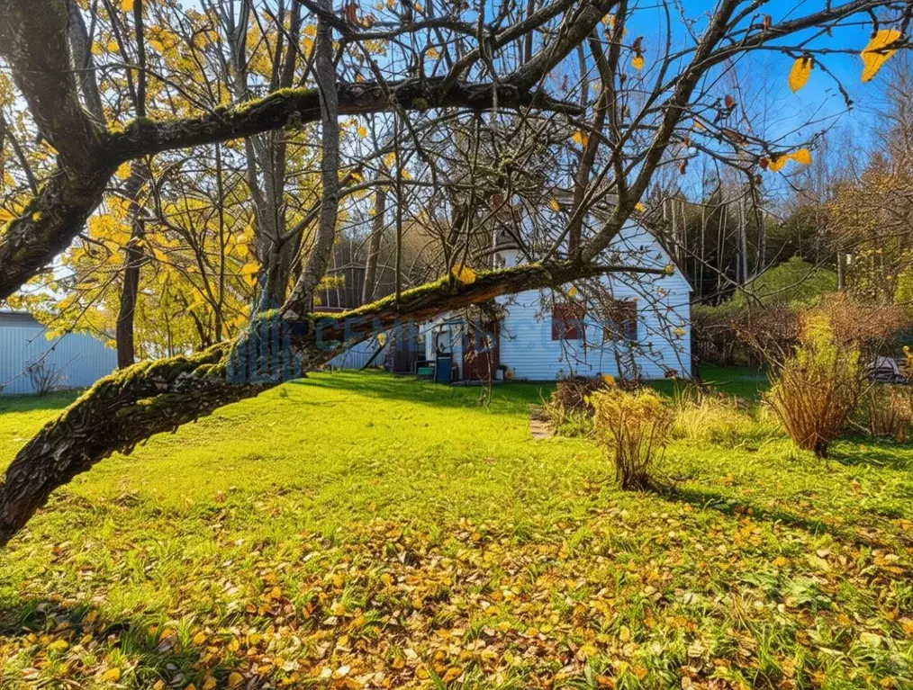 Дом в Москва Черничка садовое товарищество, 109 (51 м) - Фото 1