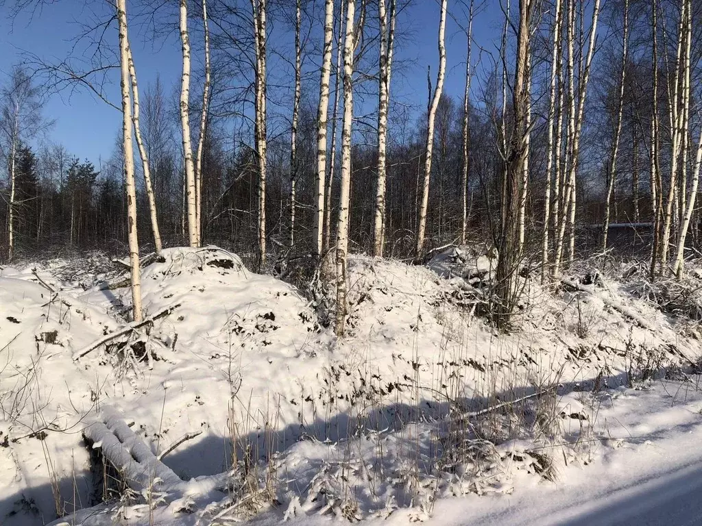 Участок в Ленинградская область, Всеволожский район, Колтушское ... - Фото 1