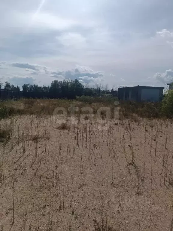 Участок в Амурская область, Благовещенский район, с. Чигири  (14.8 ... - Фото 1