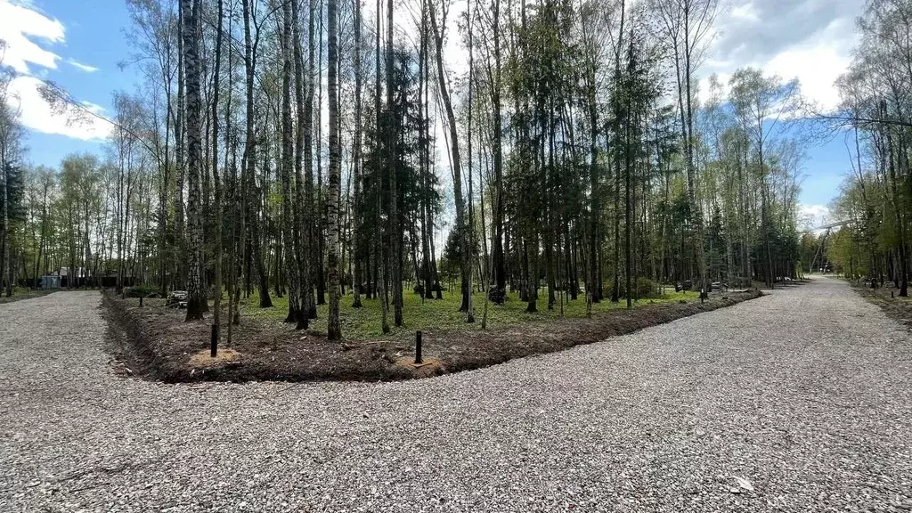 Участок в Московская область, Мытищи городской округ, д. Фелисово, ... - Фото 1