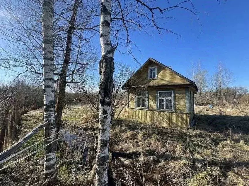 Участок в Новгородская область, Новгородский район, Панковское ... - Фото 2