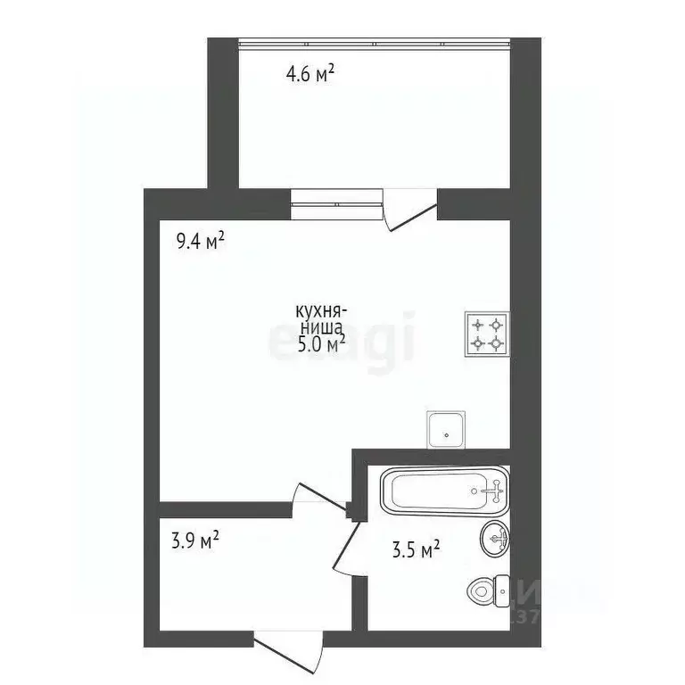 Студия Амурская область, Благовещенский район, с. Чигири ул. ... - Фото 2