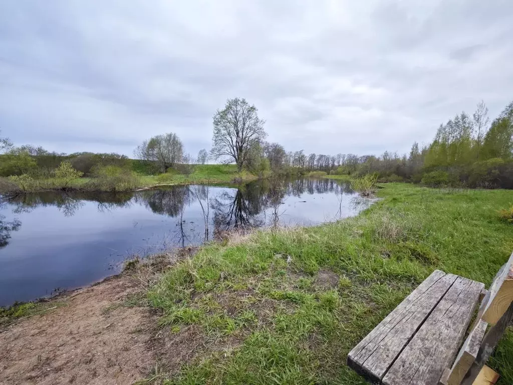 Участок в Новгородская область, Новгородский район, Борковское с/пос, ... - Фото 1