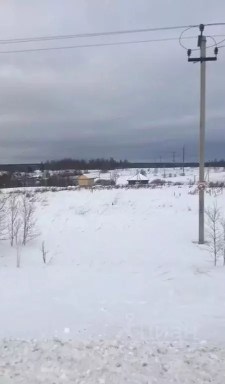 Участок в Московская область, Шаховская городской округ, с. Середа ул. ... - Фото 0