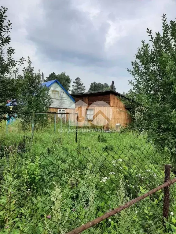 Дом в Новосибирская область, Мошковский район, Березка ДНТ  (40 м) - Фото 1