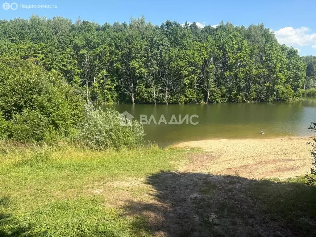 Участок в Нижегородская область, Богородский муниципальный округ, ... - Фото 0