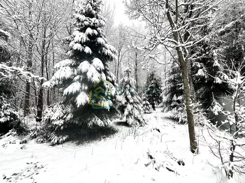 Участок в Ленинградская область, Всеволожский район, Агалатовское ... - Фото 1