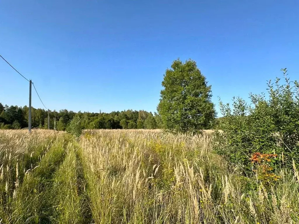 Участок в Калужская область, Тарусский муниципальный округ, Похвиснево ... - Фото 2