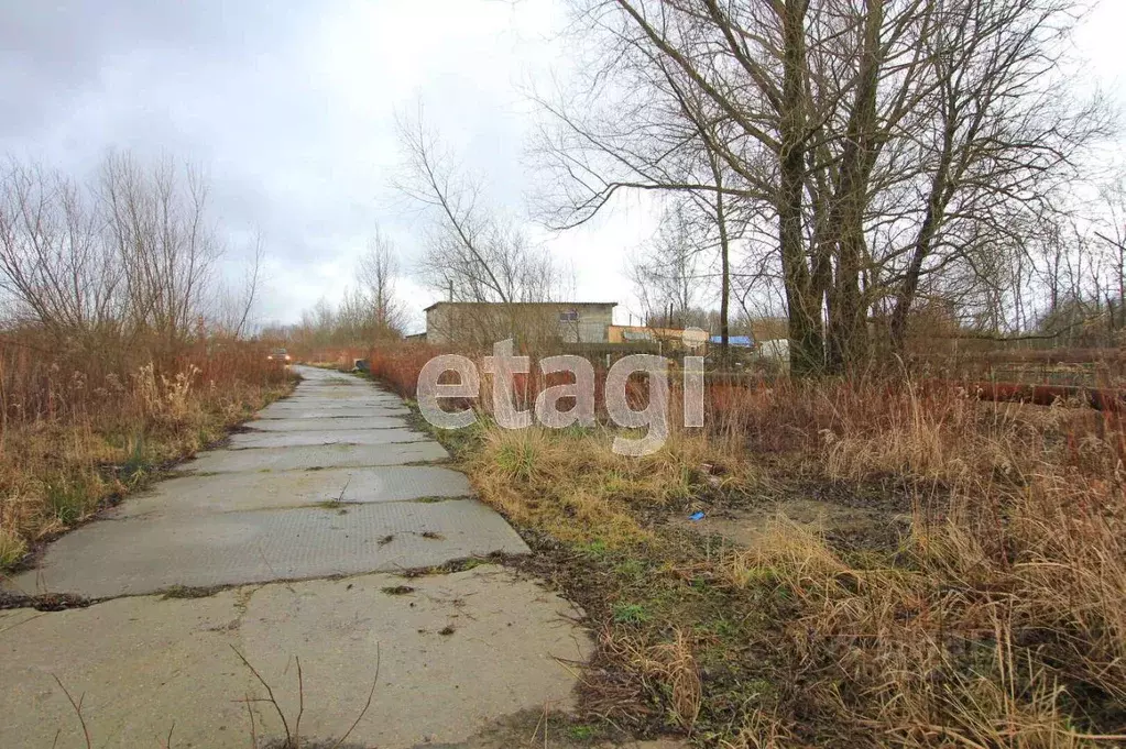 Участок в Калининградская область, Калининград Чкаловск мкр, ул. ... - Фото 1