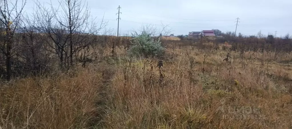 Участок в Саратовская область, Хвалынск  (12.0 сот.) - Фото 1