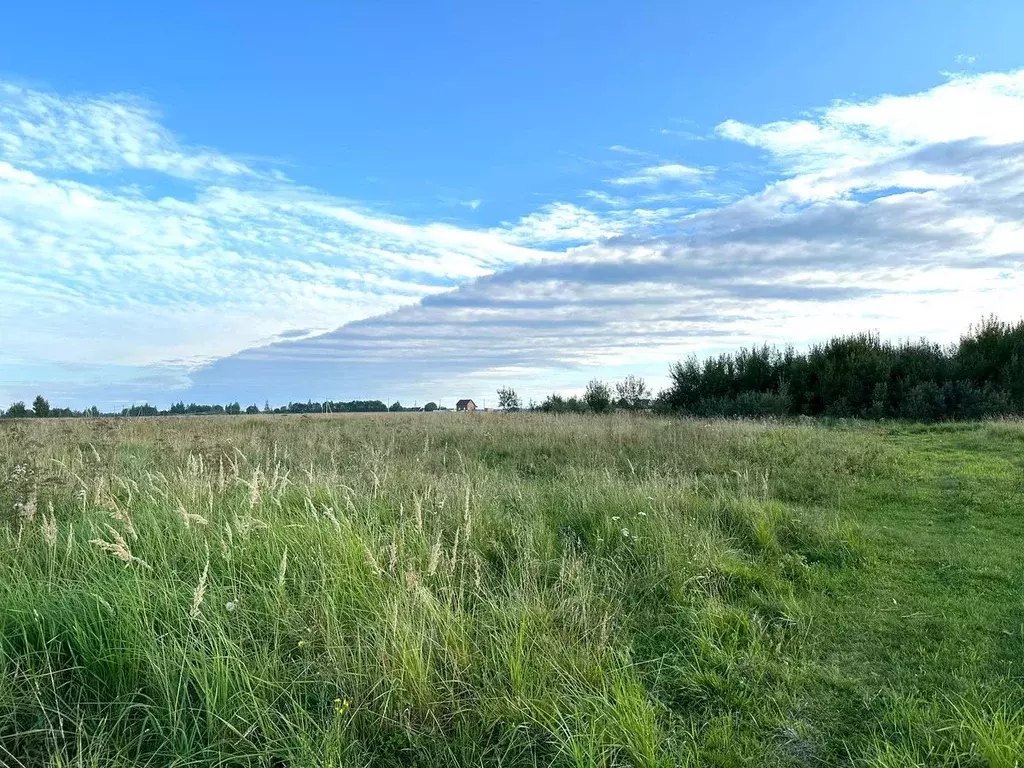 Участок в Московская область, Клин городской округ, д. Плюсково, ... - Фото 2