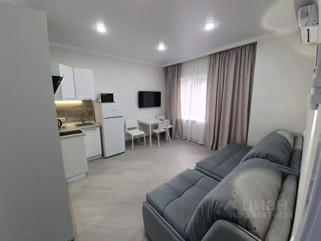 1-к кв. Краснодарский край, Сочи ул. 20 Горнострелковой дивизии, 40А ... - Фото 2