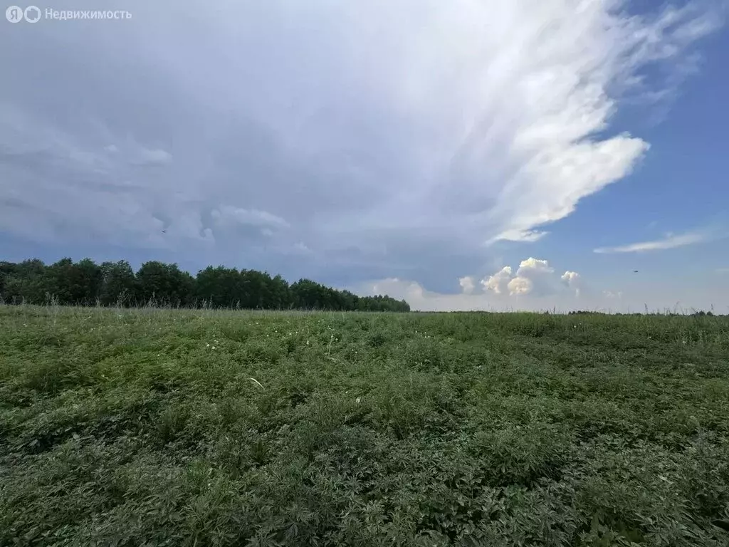 Участок в Тюменский муниципальный округ, село Борки (9.4 м) - Фото 2