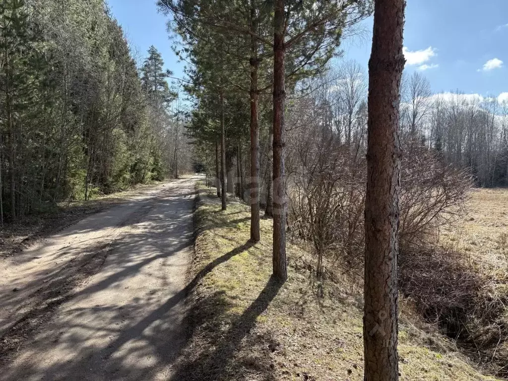 Участок в Ленинградская область, Выборгский район, Советское городское ... - Фото 1