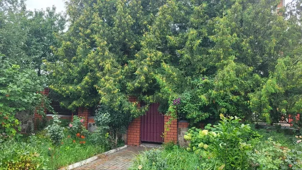 Дом в Курская область, Курск Панинская ул., 14 (224 м) - Фото 1